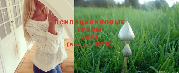 гашишное масло Волоколамск