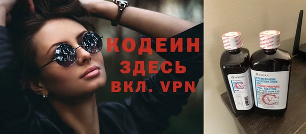 ГАЛЛЮЦИНОГЕННЫЕ ГРИБЫ Верея