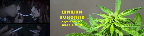трава Вяземский