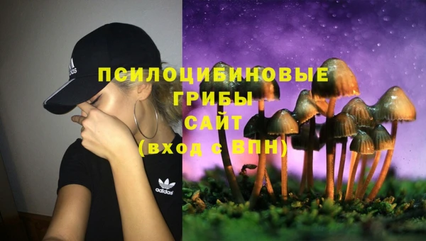 гидра Вязники